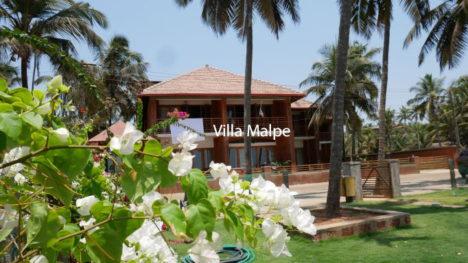 View of the front facade of the house with bougainvillea flowers in forground